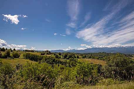 Alta Langa Landscape